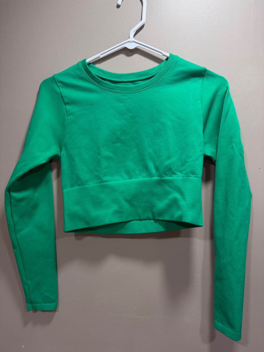 Offline by Aerie NWOT small Green Cropped Long Sleeve Top